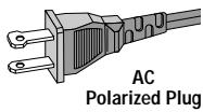 AC Polarized Plug