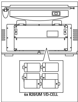 6x R20/UM 1/D-CELL
