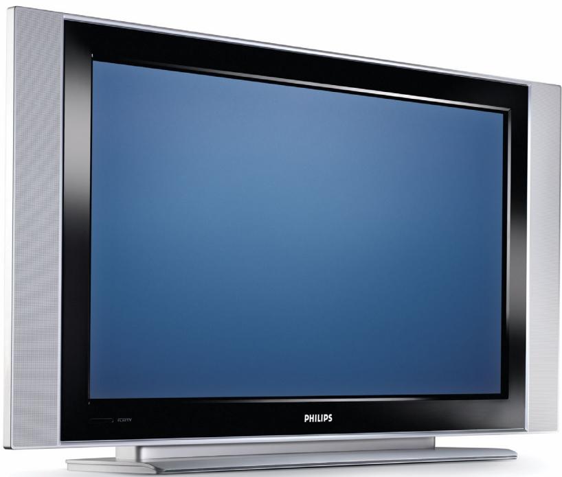 PHILIPS DC290B - DVI-I ingang - 1