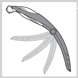 PHILIPS BG 2036 - Shaving with the back shaving attachment (BG2036/BG2038 only) - 4