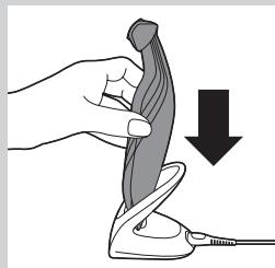 PHILIPS BG 2036 - Carga - 2