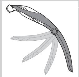 PHILIPS BG 2036 - Rasage avec l'accessoire de rasage pour le dos (BG2036/BG2038 uniquement) - 4