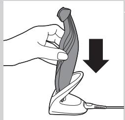 PHILIPS BG 2036 - Achtung - 4