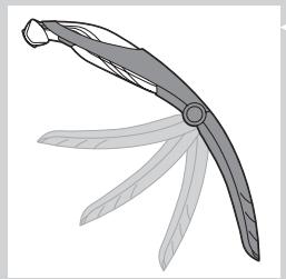 PHILIPS BG 2036 - Cortar com o acessario para cortar os pêlos das costas (apenas nos modelos BG2036/BG2038) - 4