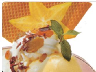 PHILIPS HR 2305 - Ananassorbet - 1