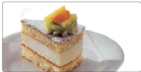 PHILIPS HR 2305 - Ice cream cake Caprice - 1