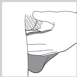 PHILIPS HP6565/30 - Epilating your intimate area - 1