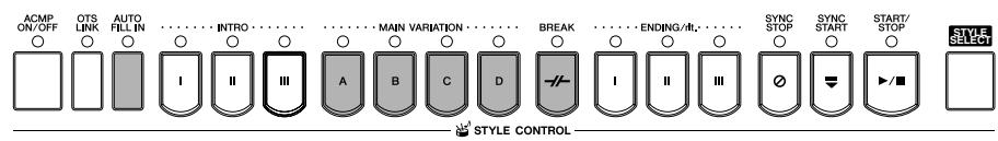 SONY CVP305 - Pendant la reproduction du style - 1