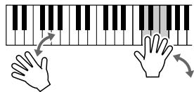 SONY CVP305 - Jouez au clavier. - 3