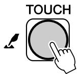 SONY DGX505 - ● Ecran FUNCTION (page 70) - 2