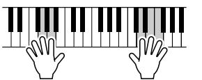 SONY DGX505 - Jouez sur le clavier. - 3