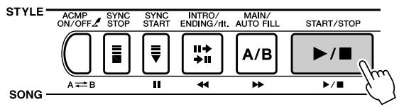 SONY DGX505 - Appuyez sur la touche [START/STOP]. - 1