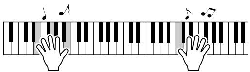 SONY DGX505 - NOTE - 1