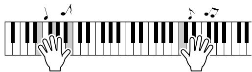 SONY DGX505 - Jouez au clavier. - 1