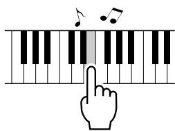 SONY DGX505 - ATTENTION - 1
