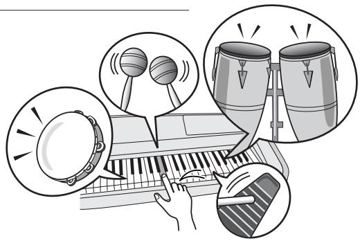 SONY DGX505 - Kits de percussion - 1