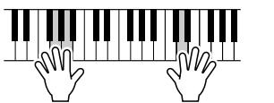 SONY DGX505 - Jouez sur le clavier. - 4
