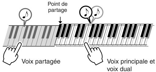 SONY DGX505 - Reproduction de voix différentes avec la main gauche et la main droite – SPLIT - 1
