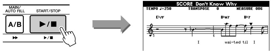 SONY DGX505 - Appuyez sur la touche [START/STOP]. - 1