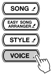SONY DGX505 - Appuyez sur la touche [VOICE]. - 1