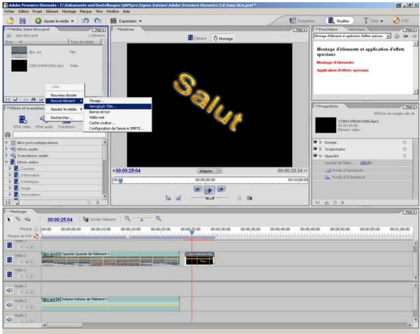 SONY HEROGLYPH-HELP - Adobe Premiere Elements - 1