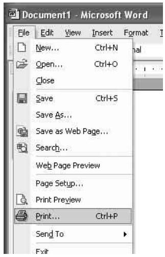 SONY LPR-1000MD - Displaying the Print Preferences Dialog Box from a Software Application - 1