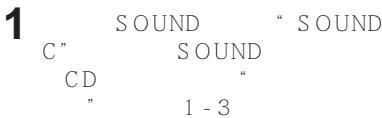 SONY D-NE900LS - SOUND - 2