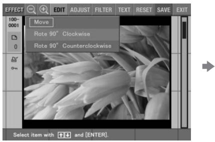 SONY DPP-EX5 - Adding effects to an image - 1
