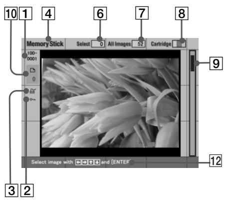 SONY DPP-EX5 - Paper tray - 2