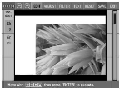 SONY DPP-EX5 - Adding effects to an image - 2