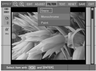 SONY DPP-EX5 - Adding a special filter to an image - 1