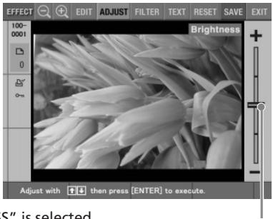 SONY DPP-EX5 - Press the arrow (♠/♦) button to move the cursor to the desired adjustment item and press ENTER. - 3
