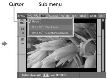 SONY DPP-EX5 - What you can do with the EFFECT menu - 3