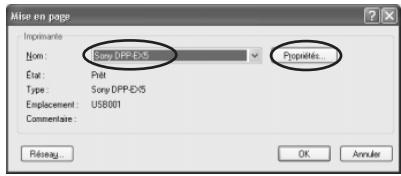 SONY DPP-EX5 - Remarques - 2