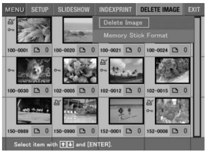 SONY DPP-EX5 - Deleting selected image(s) - 1