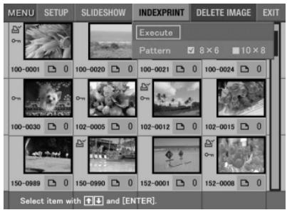 SONY DPP-EX5 - Making an index print - 1