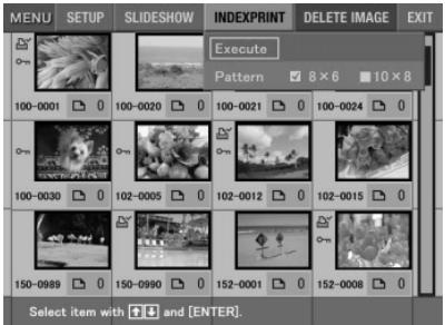 SONY DPP-EX5 - Création d'une impression d'index - 1