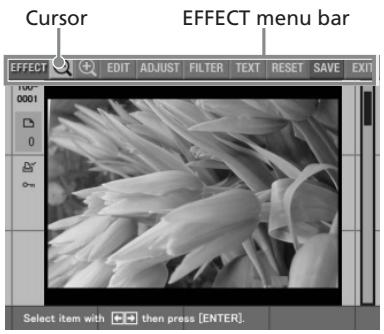 SONY DPP-EX5 - What you can do with the EFFECT menu - 2