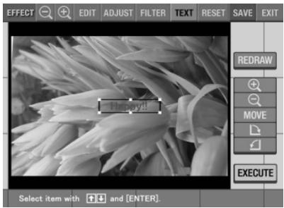 SONY DPP-EX5 - Remarque - 1