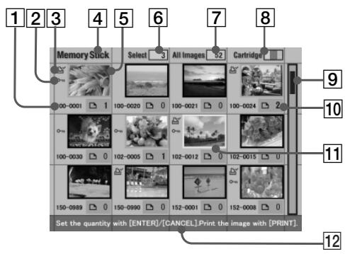 SONY DPP-EX5 - Paper tray - 1