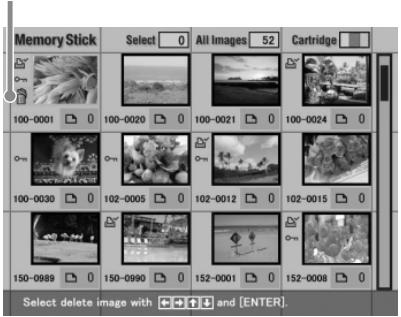 SONY DPP-EX5 - Suppression d'une ou de plusieurs images sélectionnées - 2