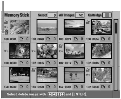 SONY DPP-EX5 - Deleting selected image(s) - 2