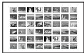 SONY DPP-FP65 - Impression par lots - 2