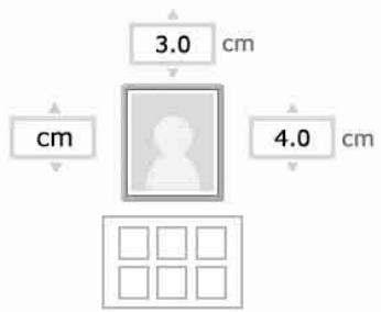 SONY DPP-FP75 - Réalisation de photos d'identité - 1