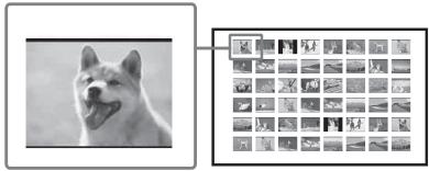 SONY DPP-FP75 - - Impression de l'index - 1