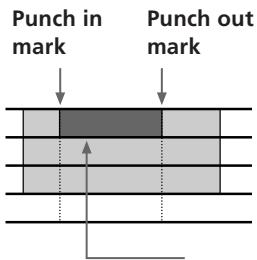 Punch in mark Punch out mark