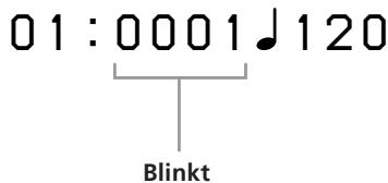 01:0001♩120 Blinkt