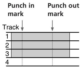 Punch in mark Track Punch out mark 1 2 3 4