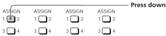 ASSIGN 1 2 3 4 ASSIGN 1 2 3 4 ASSIGN 1 2 3 4 ASSIGN 1 2 3 4 Press down