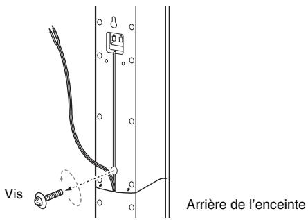 SONY DAV-DZ730 - Avant d'installer les grandes enceintes au mur (dav-dz730 uniquement) - 3